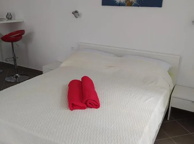 Tomic * ノヴィ・ヴィノドロスキー